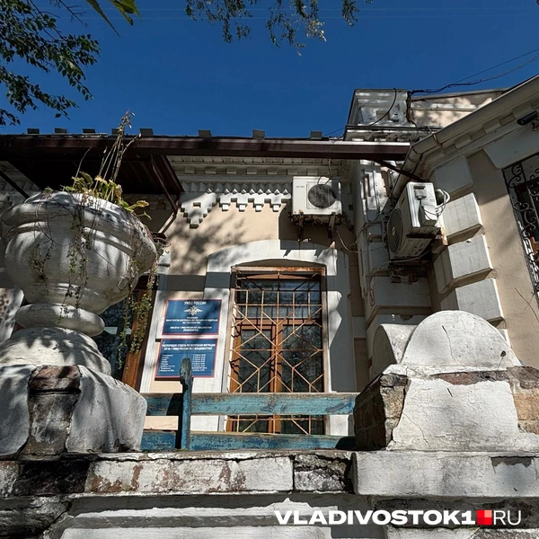 Источник: Елена Буйвол / VLADIVOSTOK1.RU