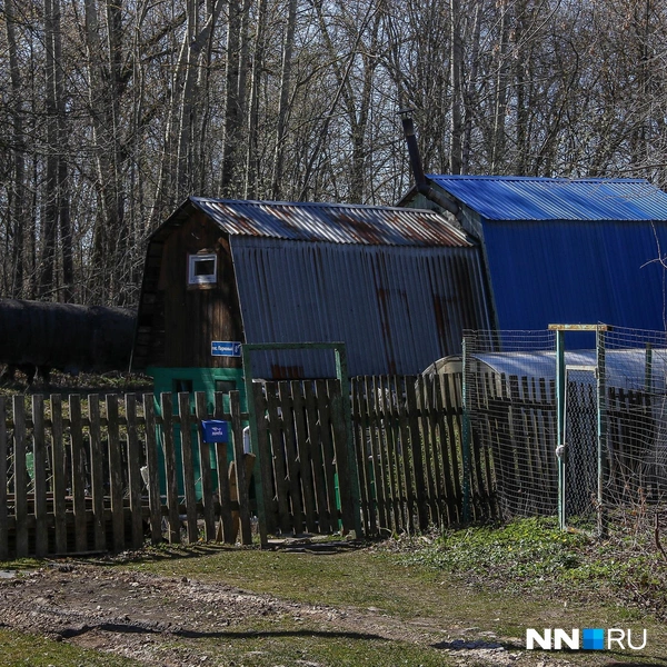 Источник: Наталья Бурухина / NN.RU