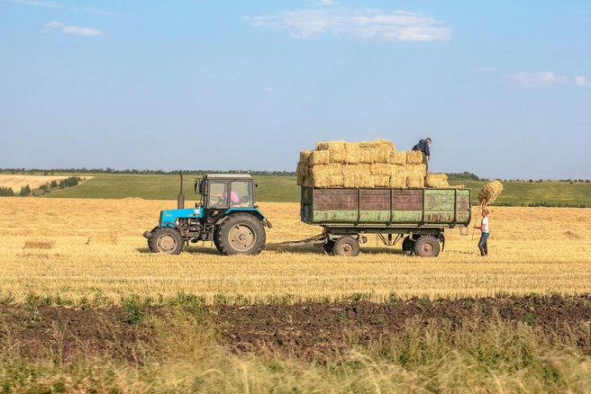 Фермерам предложили застраховать урожай на случай засухи | Источник: Роман Данилкин