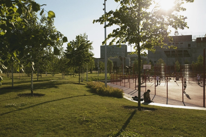 В планах — установка экоскамей и урн в одной из зеленых зон Новосибирска | Источник: ru.freepik.com