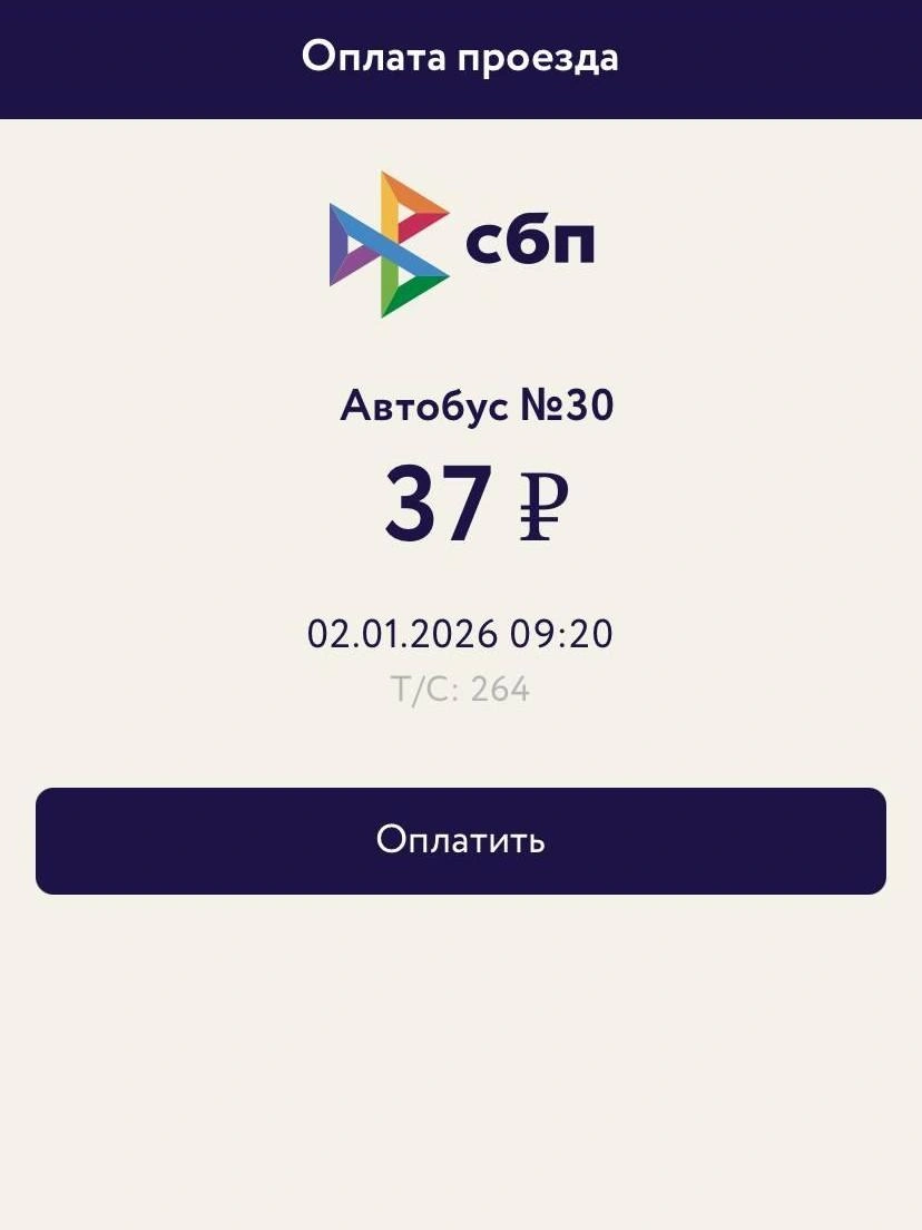 Теперь нет смысла мучаться с QR-кодами при неработающем интернете | Источник: Никита Кифорук / 72.RU