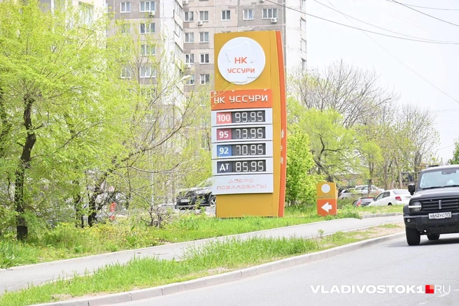 Источник: Елена Буйвол / VLADIVOSTOK1.RU