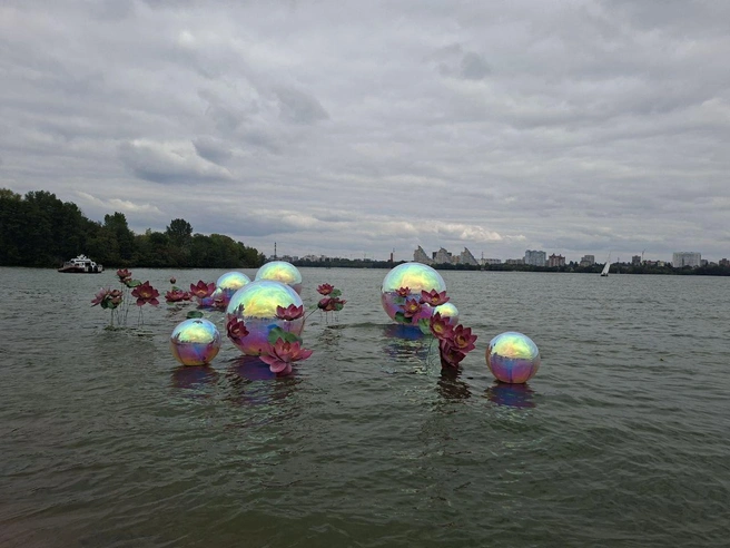 Источник: Алёна Воропаева / Voronezh1.ru