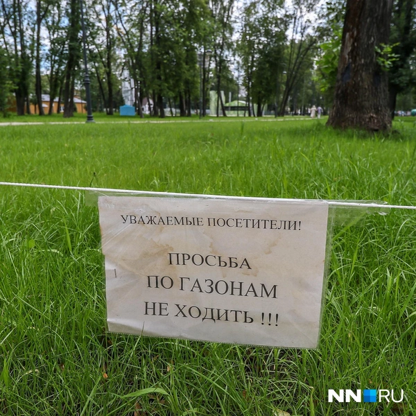 Устроить пикник на газоне не получится | Источник: Наталья Бурухина / NN.RU