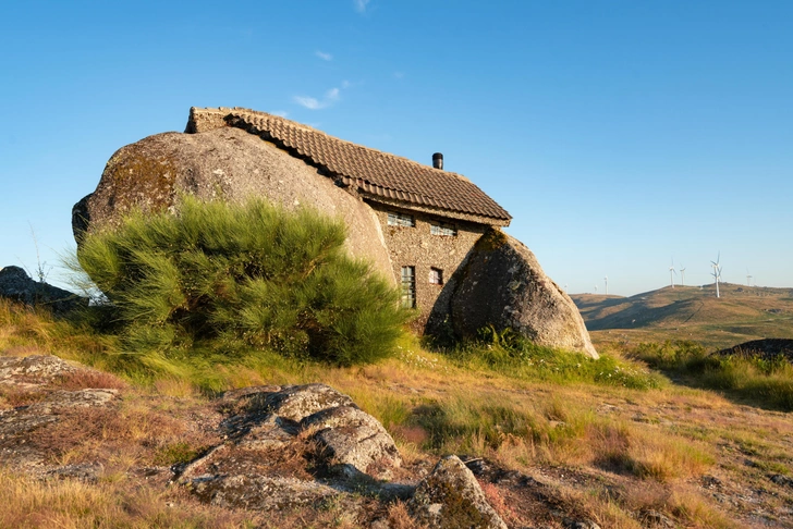 Источник: LuisPinaPhotography via Shutterstock/Fotodom.ru