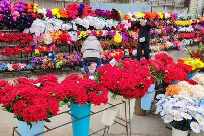 Точки продажи к Радонице определены в Чите