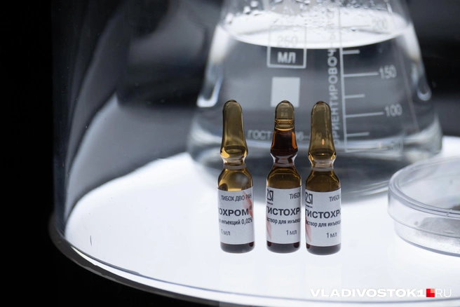 Источник: Елена Буйвол / VLADIVOSTOK1.RU