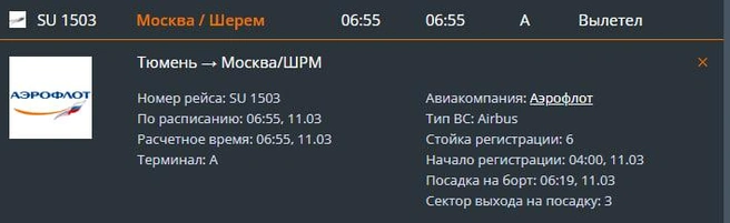 Такое сообщение было на сайте тюменского аэропорта | Источник: tjmport.ru