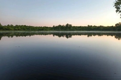 В Приамурье нашли тело пропавшего мужчины