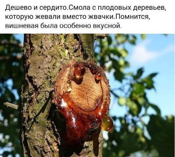 Смешные штуки :-) Здравствуйте, уважаемые, Приятного, времени, суток