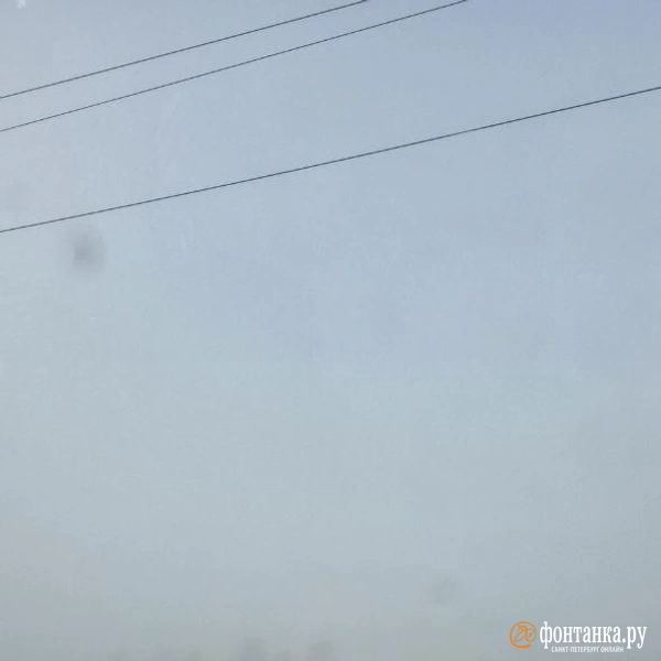 Источник: Читатель «Фонтанки»