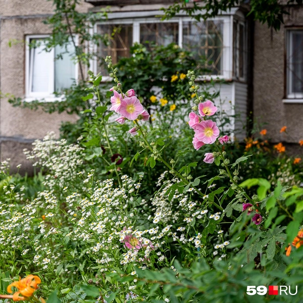 Источник: Василина Любимова / 59.RU