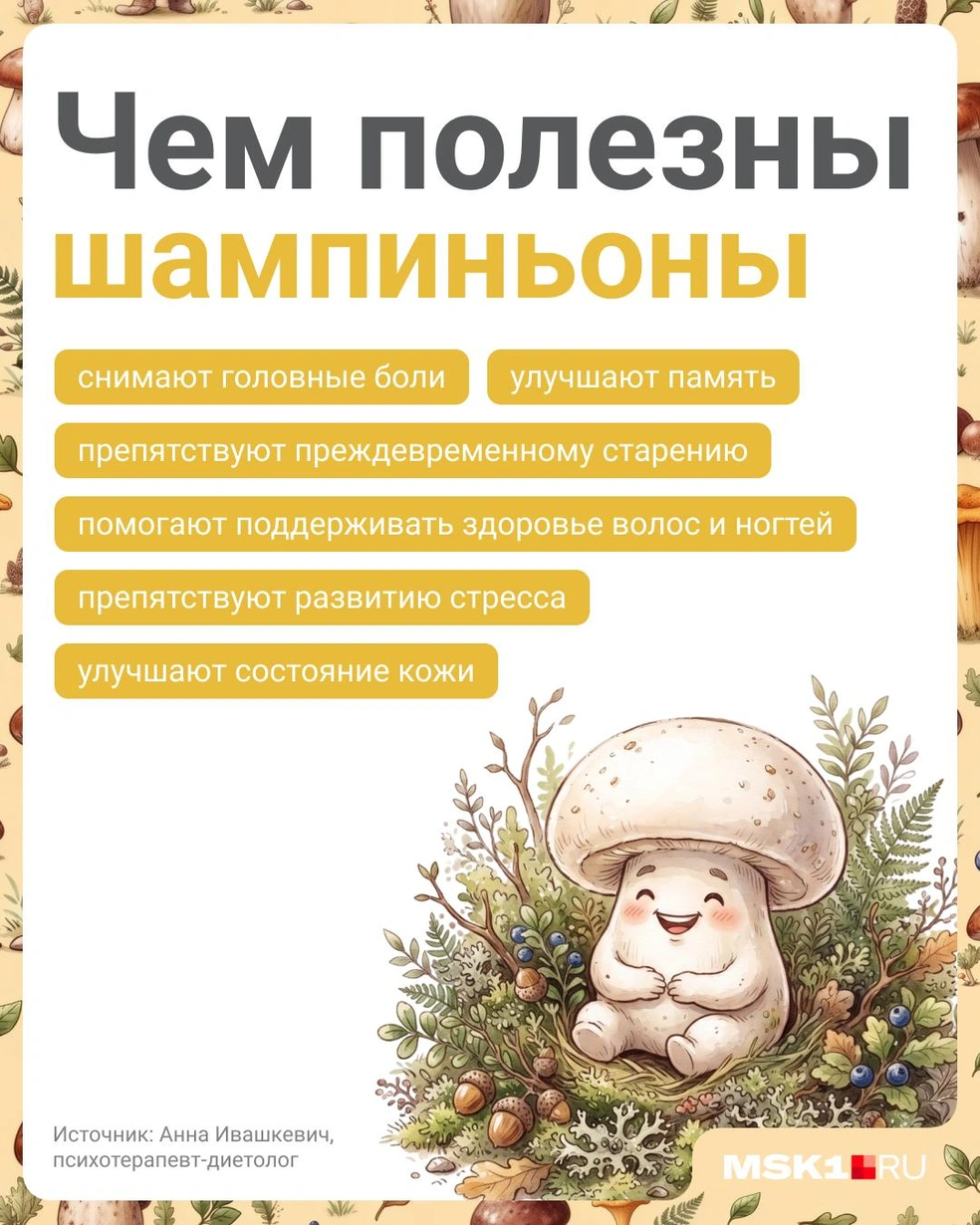Казалось бы, это просто шампиньоны, которые продаются в каждом магазине. Но и в них хватает пользы | Источник: Полина Авдошина / Городские медиа