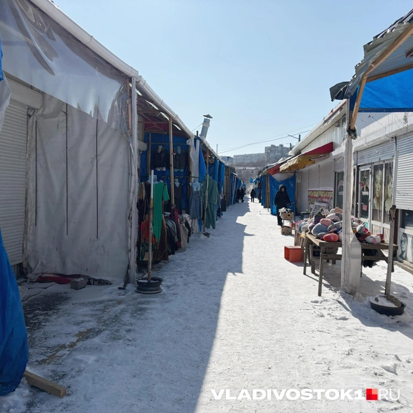 Источник: Елена Буйвол / VLADIVOSTOK1.RU