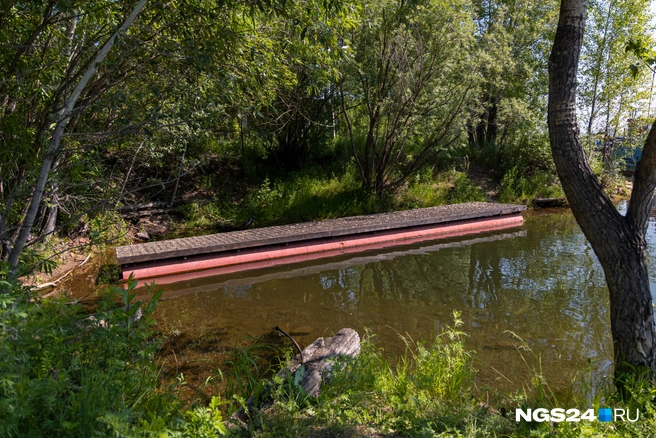 На территории есть даже некий пирс | Источник: Мария Ленц / NGS24.RU