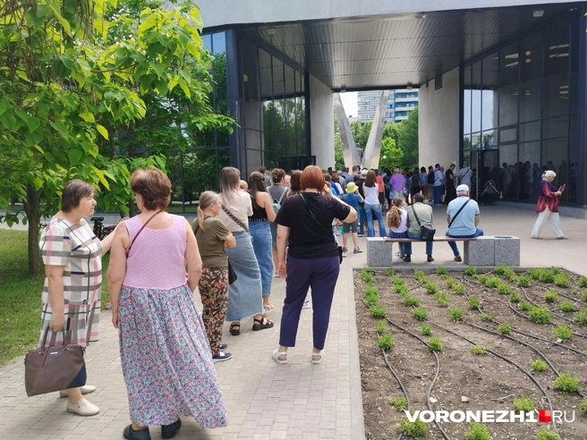 Источник: Дмитрий Волгин / Voronezh1.ru