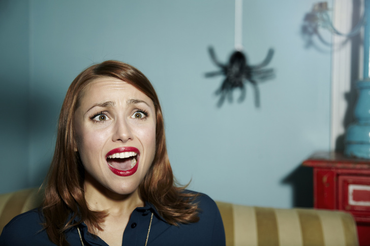 Почему в доме много пауков: 6 причин