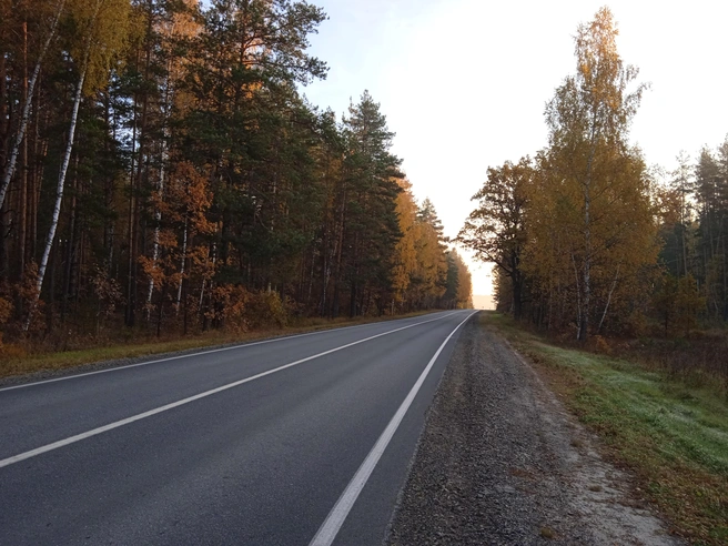 Ульяновскую область вновь атаковали БПЛА | Источник: Дмитрий Сильнов / 173. RU
