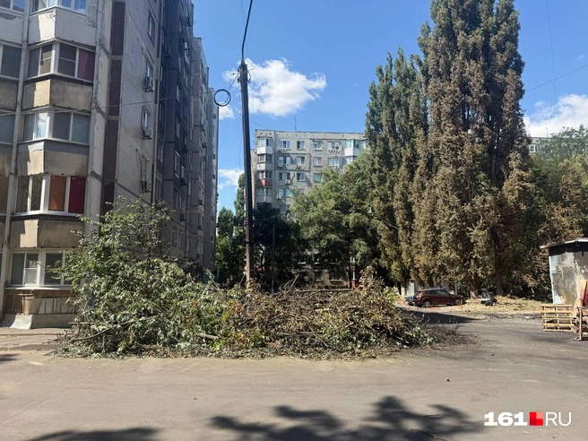 Во время пожара горящие ветки били по окнам. От деревьев почернел и фасад дома | Источник: Марина Рыбалкина / 161.RU