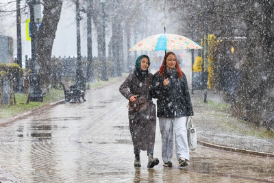 Выходные в ХМАО: снегопад, туман и ветер до 16 м/с