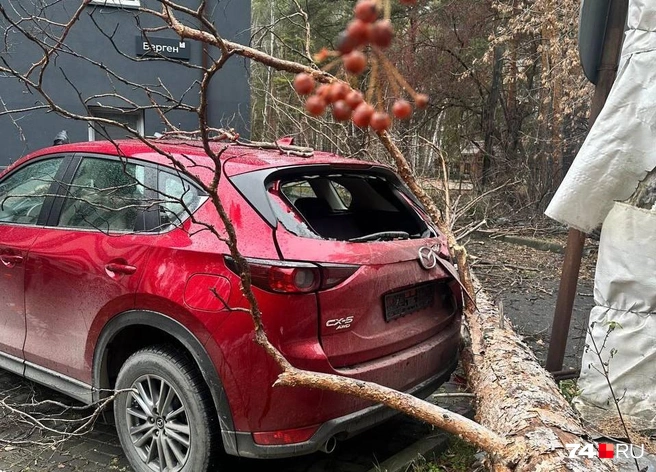 Основной удар пришелся на заднюю часть Mazda CX-5 | Источник: читатель 74.RU