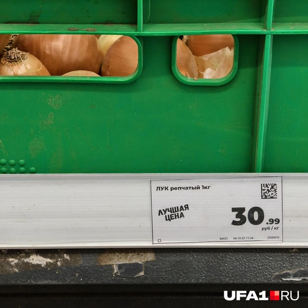 Источник: Булат Салихов / UFA1.RU