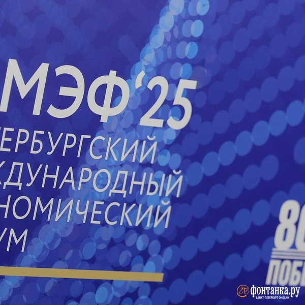 Источник: Дарья Драй/«Фонтанка.ру»