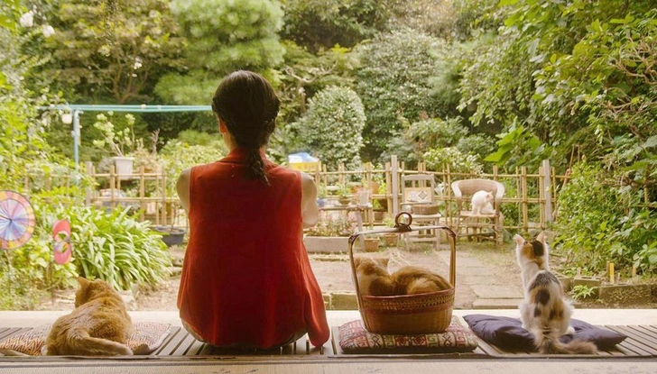 Кадр из фильма «Кошка напрокат» (2012) | Источник: Кадр из фильма «Кошка напрокат» (2012)