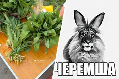 В Екатеринбурге продают черемшу — растение из мема