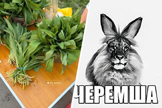 В Екатеринбурге можно купить черемшу | Источник: читатель E1.RU; TikTok