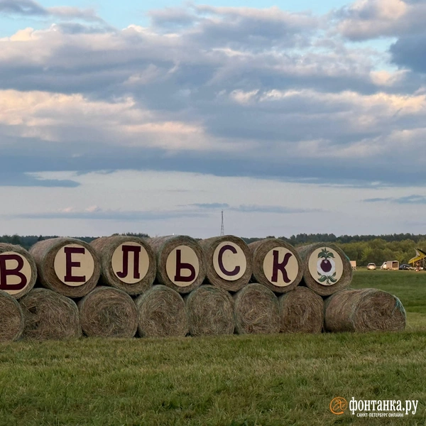 Источник: Милена Солдатенко / Фонтанка.ру