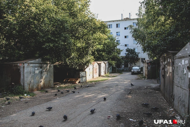 На гаражах висят объявления с просьбой убрать их до 7 июня 2021 года | Источник: Тимур Шарипкулов