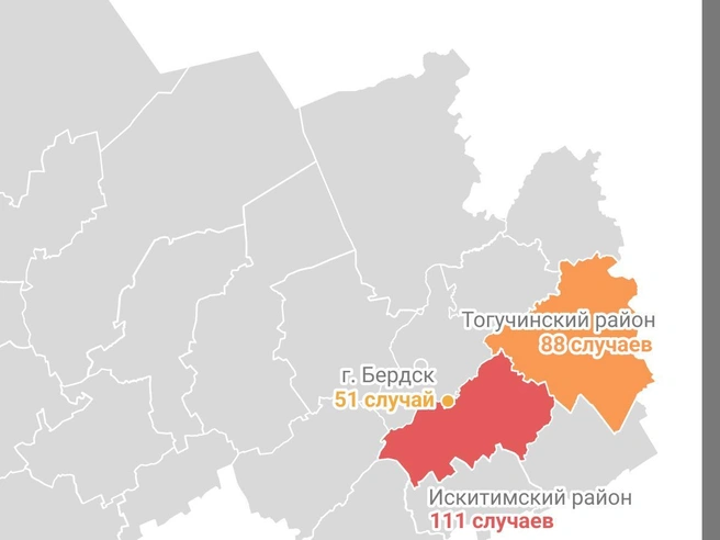 Специалисты рекомендуют обрабатывать дачные участки от клещей | Источник: Юрий Орлов / Городские медиа