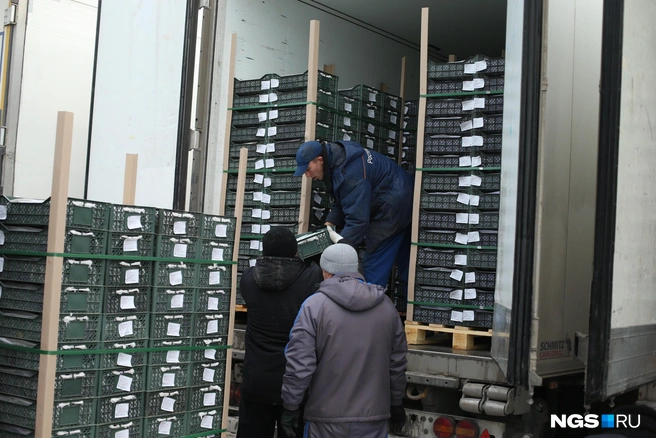 Порой, чтобы нормально осмотреть продукцию, приходится сначала разгружать половину фуры. Коммерсанты же уверяют, что иногда машину разгружают целиком из-за незаконной конкуренции | Источник: Андрей Бортко / NGS.ru
