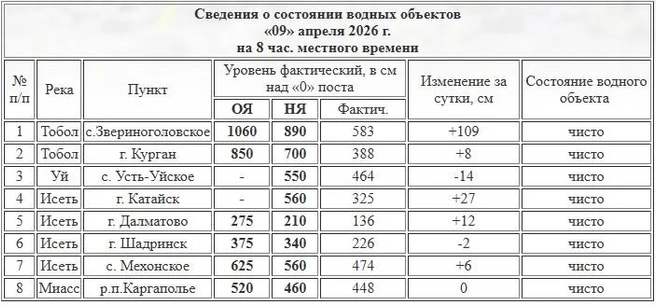 Источник: скрин с сайта Курганского ЦГМС