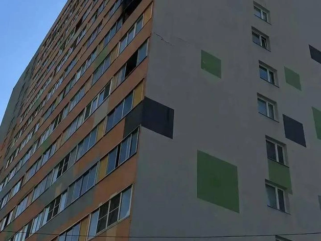 Пожар в многоэтажке Мурино: 20 человек на улице | Источник: МЧС России