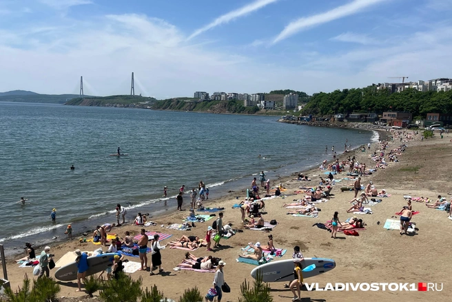 Цены могут доходить до 4,5 тысяч рублей | Источник: Елена Буйвол / VLADIVOSTOK1.RU