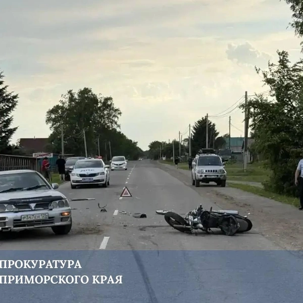 Источник: «Прокуратура Приморья» / T.me
