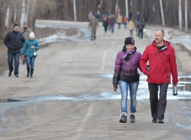 Во вторник в Рязанской области потеплеет до +13 °С | ya62.ru