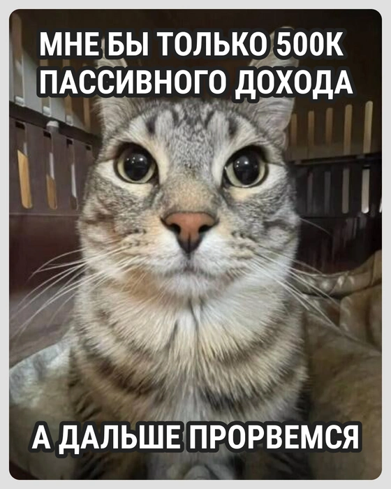 Не так уж и много нужно для счастья | Источник: Городские медиа