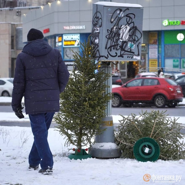 Источник: Павел Даиси / FONTANKA.RU