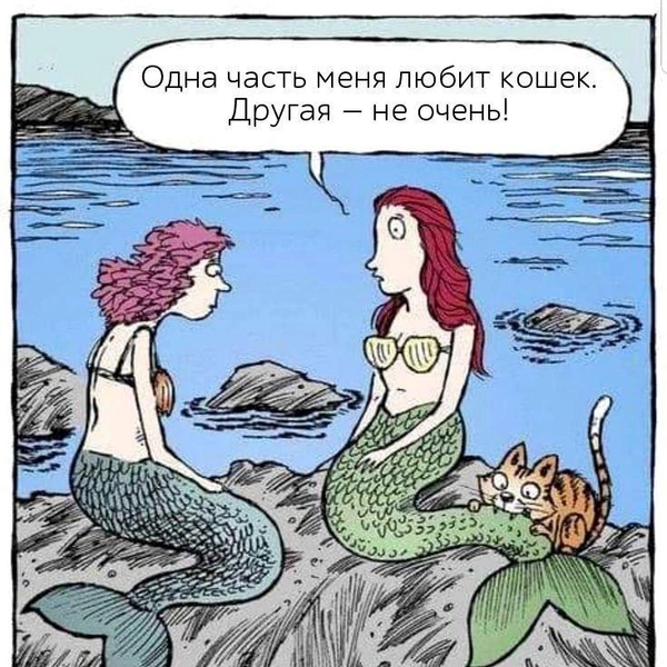 Источник: соцсети
