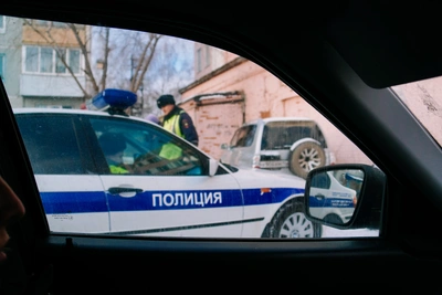 Сотни ДТП с животными в Омской области: до пяти погибших за год