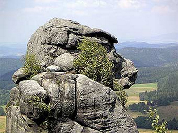 Самые необычные памятники мира с обезьянами: фото