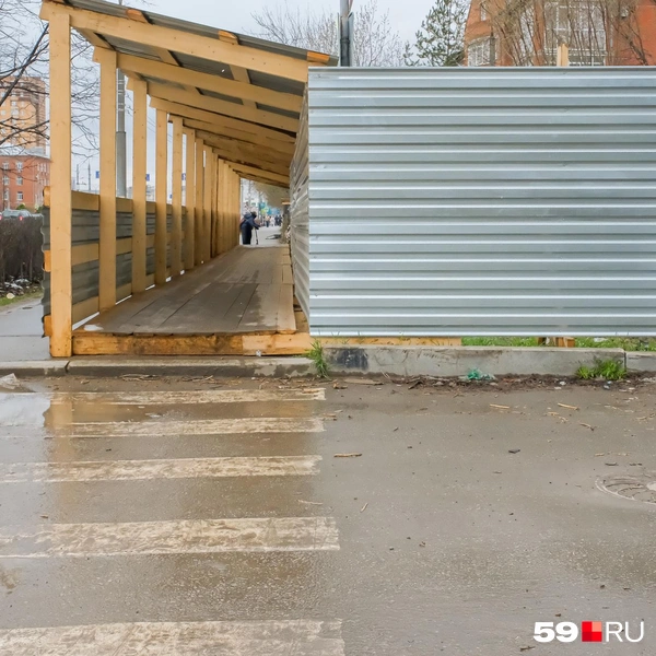 Источник: Василина Любимова / 59.RU