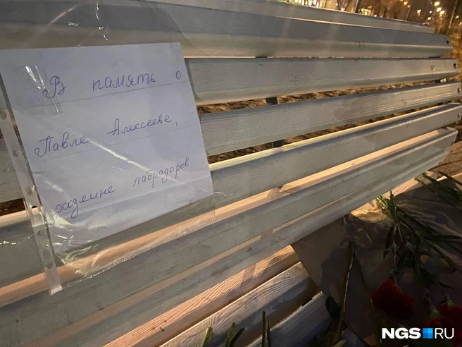 Сейчас лабрадоров забрали на временную передержку | Источник: Анастасия Хрипушина/NGS.RU