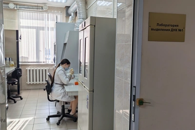 Пушистые сыщики: секреты работы собак-детекторов в полиции