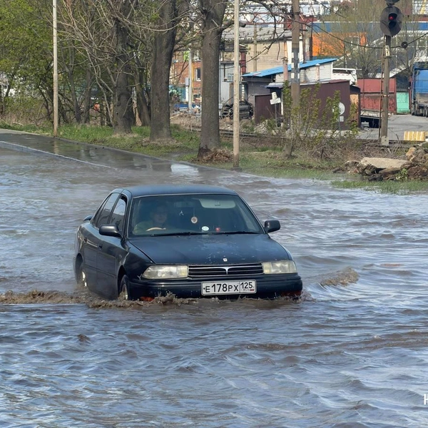 Источник: Новости VL.ru | Владивосток / T.me