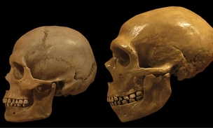 Математика помогла выяснить, куда исчезли неандертальцы