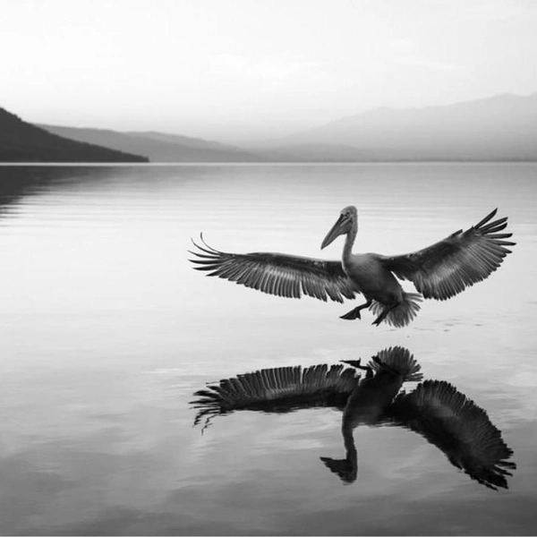 Источник: Olaf Karwisch / Exposure One Awards 2025